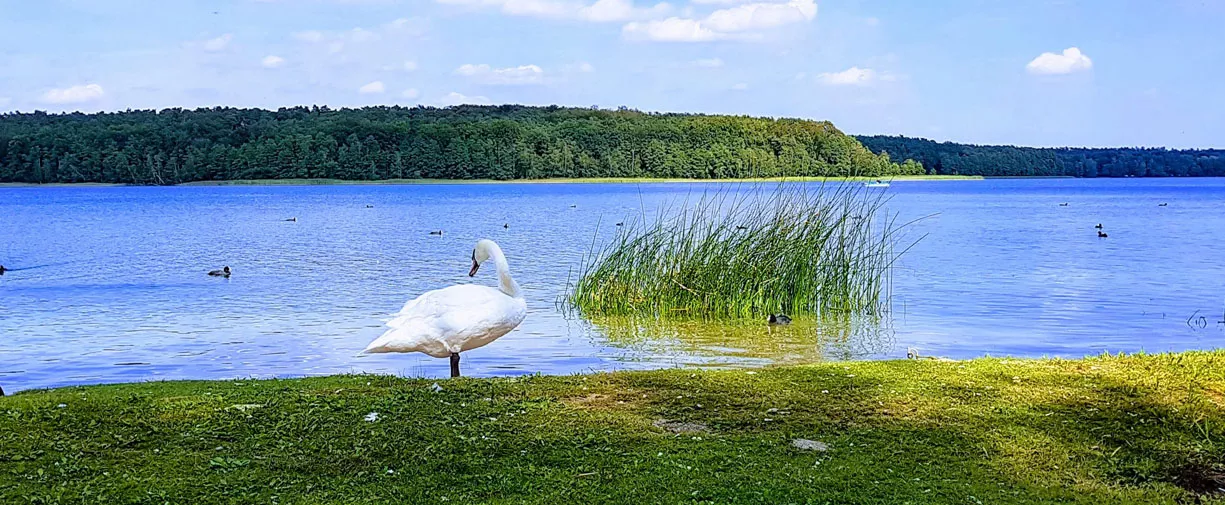 KORMORAN ośrodek wypoczynkowy 02